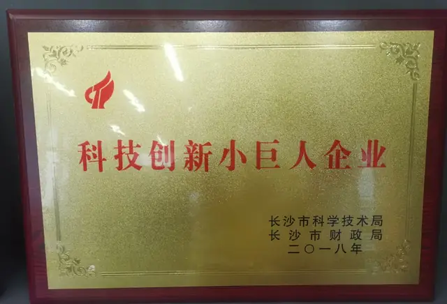 科技创新小巨人企业